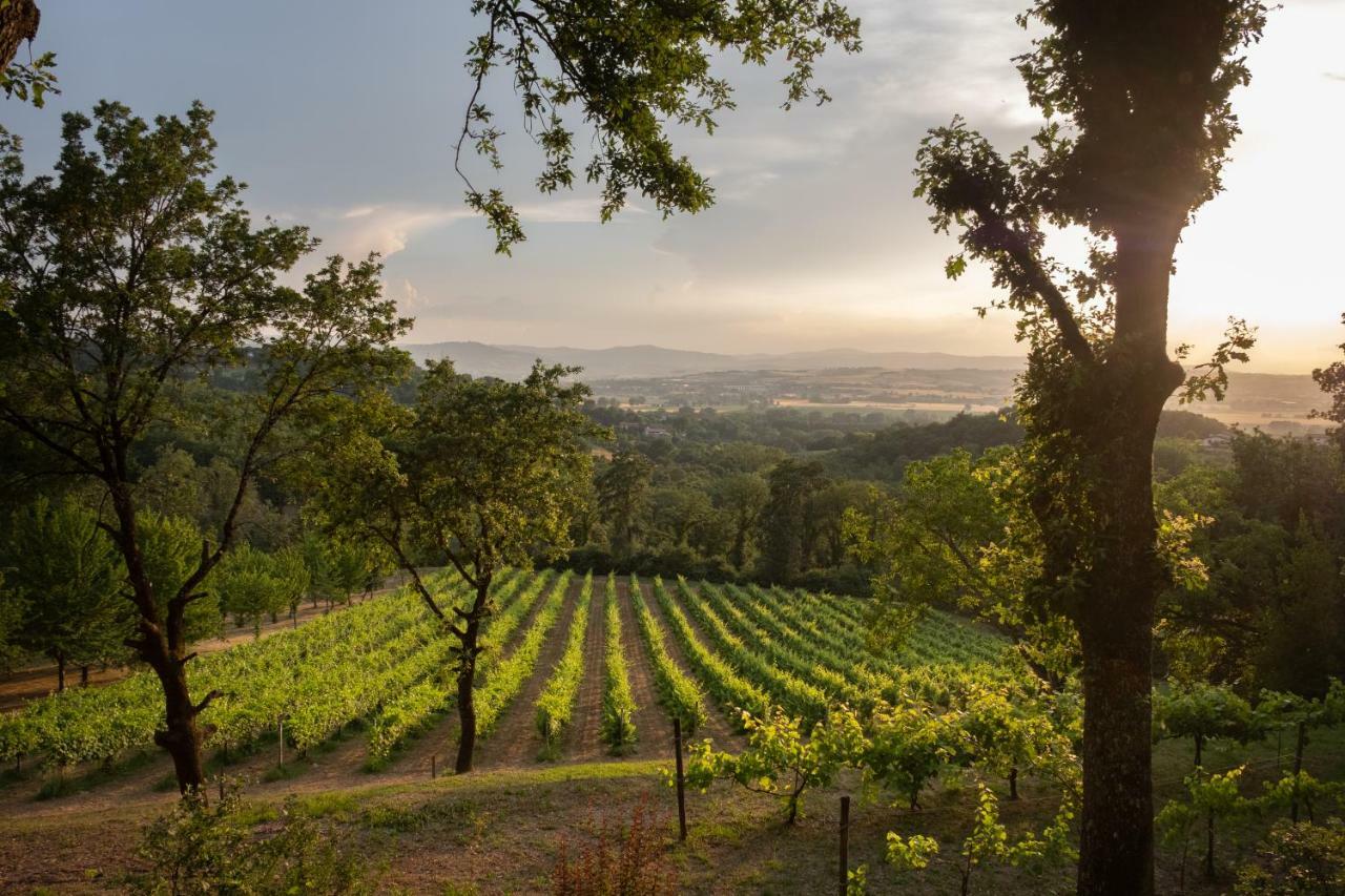 Agriturismo Le Cerque Collazzone Εξωτερικό φωτογραφία