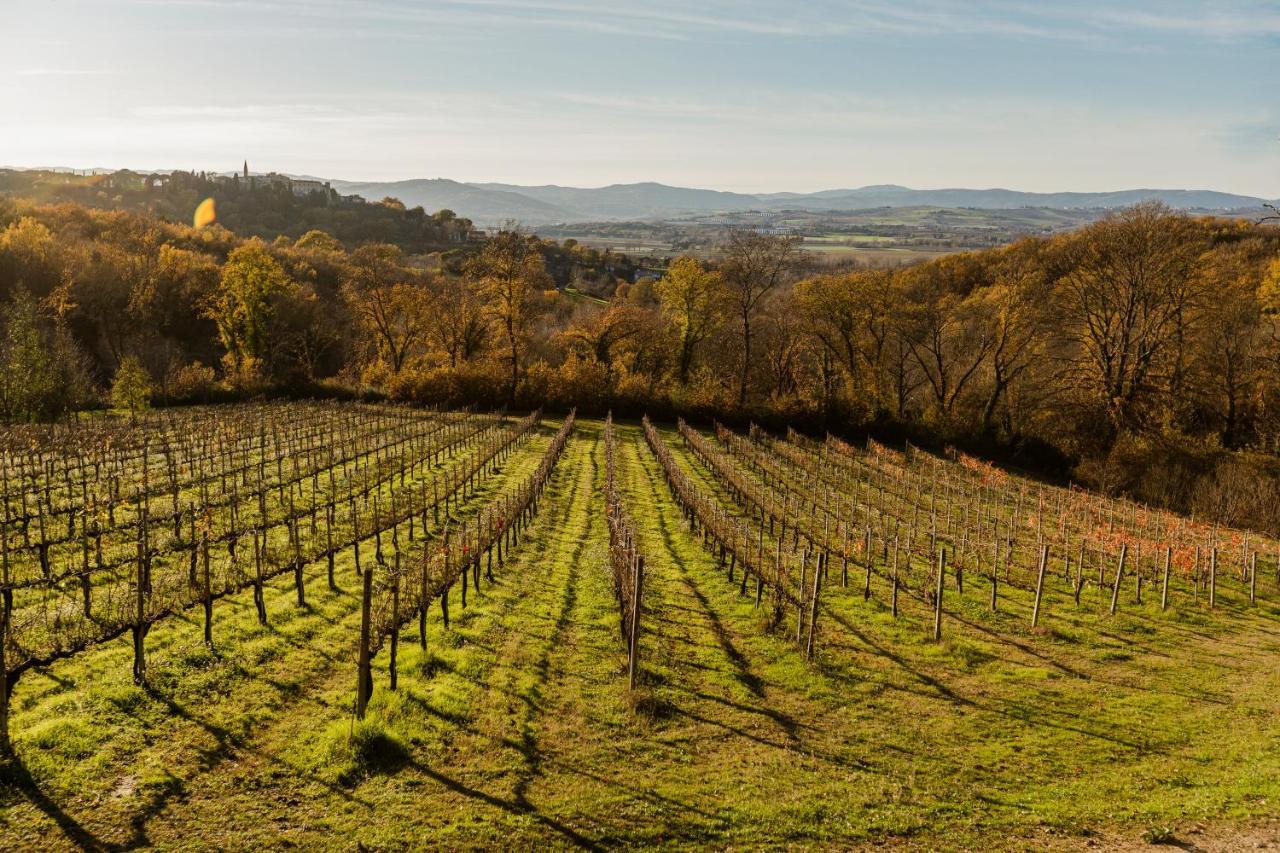 Agriturismo Le Cerque Collazzone Εξωτερικό φωτογραφία